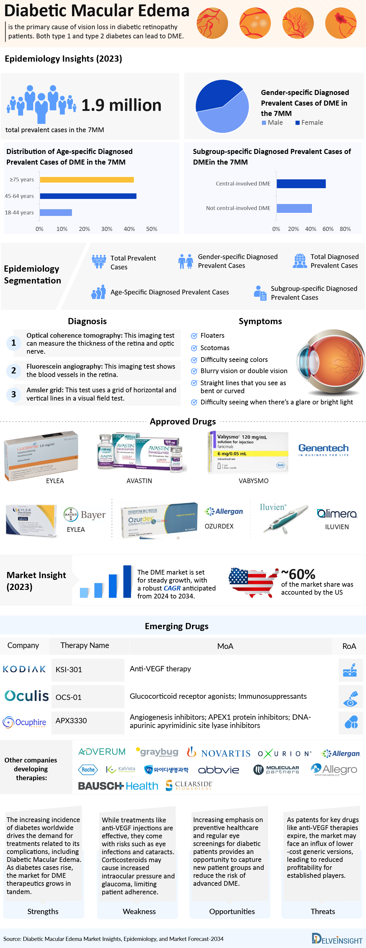 Diabetic Macular Edema Infographic